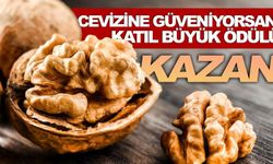 Cevizine güveniyorsan KATIL ve  KAZAN